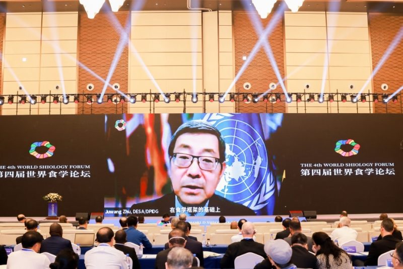 联合国经社部公共机构和数字政府司司长、可持续发展司代司长朱巨望致辞